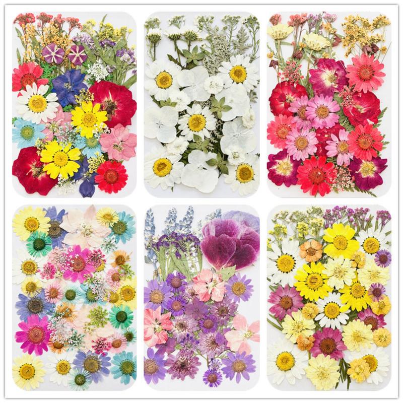 42pcs Pressed Dry Flower Resin Molds, Real Natural Bulk Large Dried Flower Leaves for DIY Art Crafts, Epoxy Resin Jewelry, Soap Making,Nail Decoration