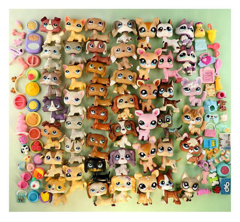 Minilpsshop Random 10PC Figures Pets and 25 PC Accessories Set