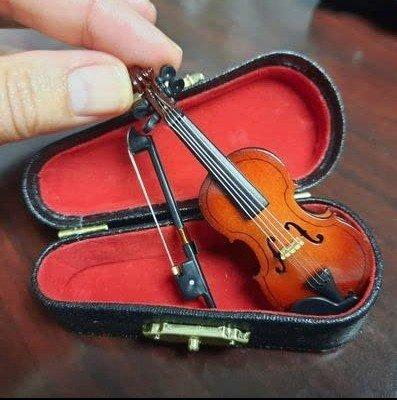 World's Smallest Violin Wooden Miniature Violin with Stand Bow and Case