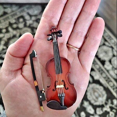 World's Smallest Violin Wooden Miniature Violin with Stand Bow and Case