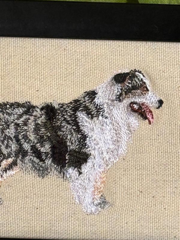 Australian Shepherd Machine Embroidered and Framed!  Other Designs and Breeds Available!