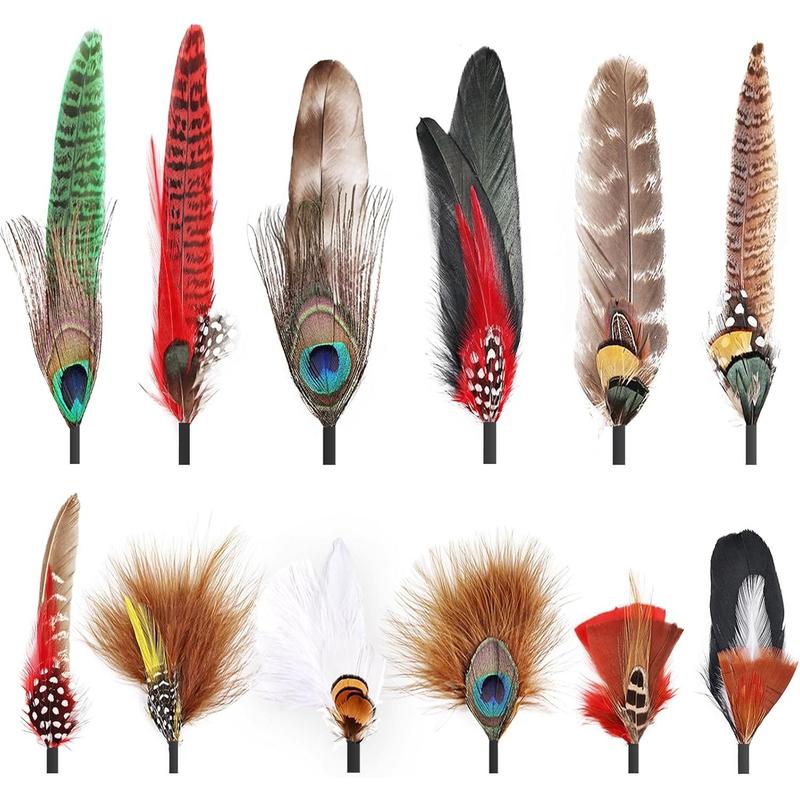 12PCS Hat Feathers, Assorted Natural Colorful Feathers for DIY Western Cowboy Hats,Christmas Party Hats,Fedora, Oktoberfest,Trilby Hats