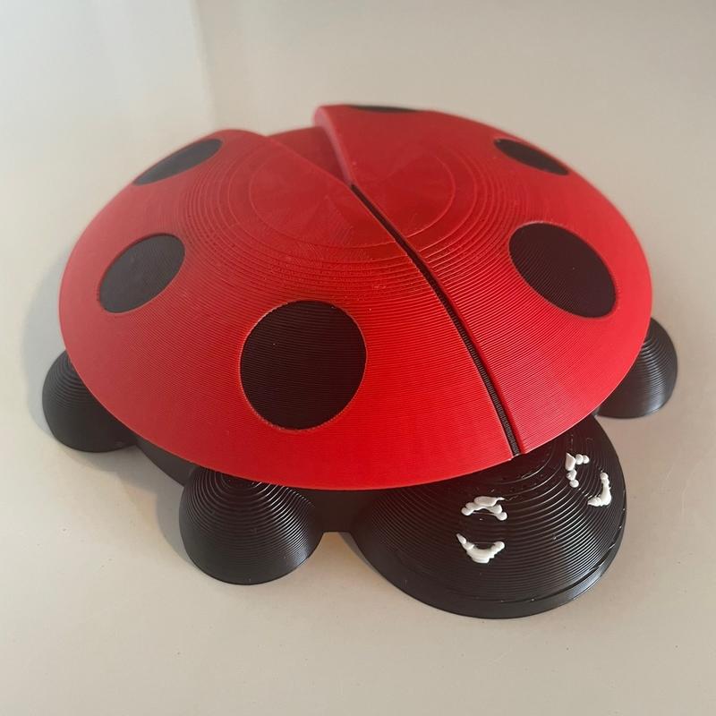 Millennial Ladybug Sandbox Set with Castle Mold, Rake, Shovel, and Free Mystery Critter