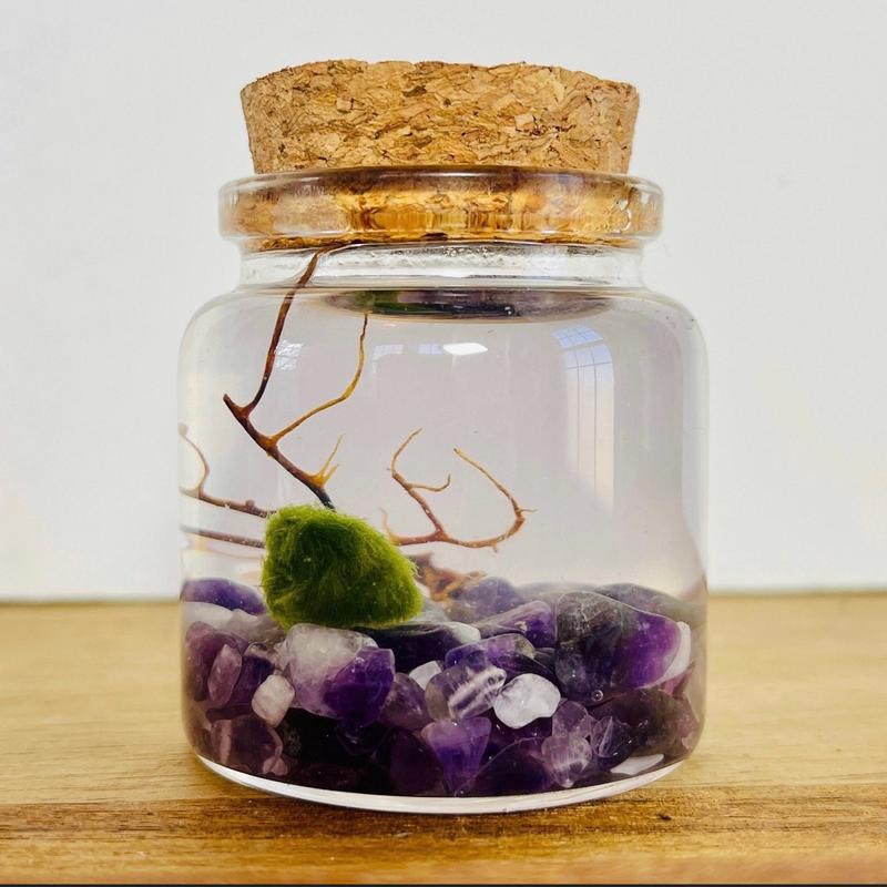 Moss Ball Pet Terrarium Kit with Natural Crystal Gravel - DIY Handcrafted Miniature Ecosystem for Home and Office Decor - Glass