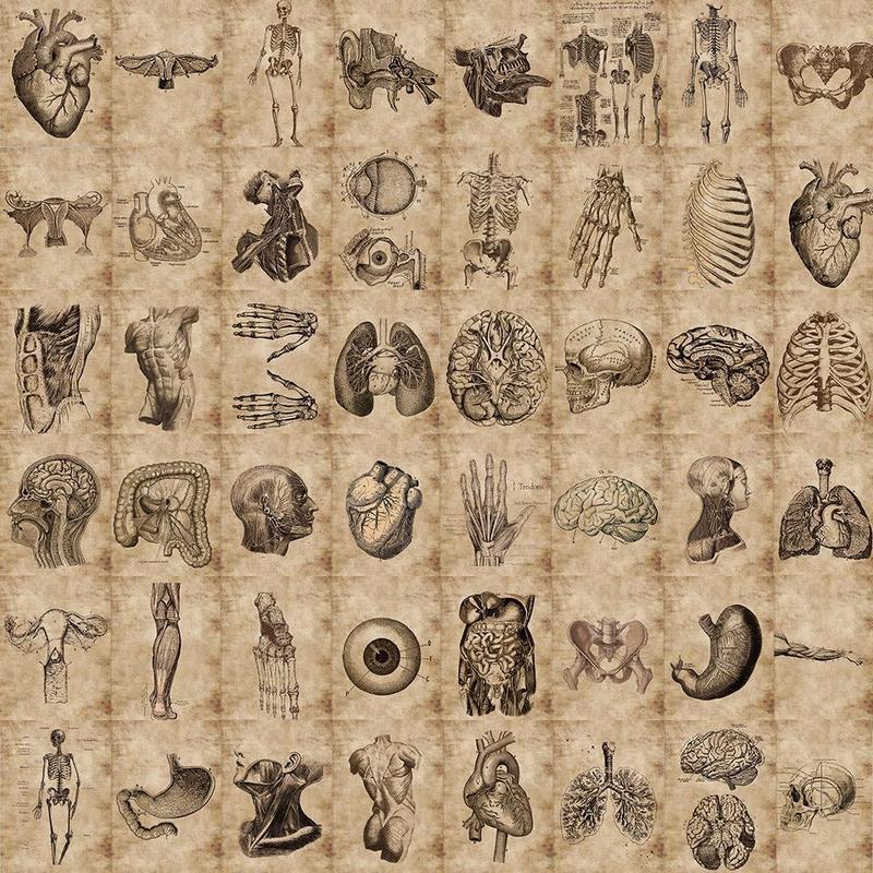 Cruel Summer Human Organ Pattern Assorted Sticker, 56pcs Creative Multi-purpose Decorative Sticker for DIY Craft, Unique Gift Ideas Hand Account Decoration, Decorative Decal Accessories Sticker