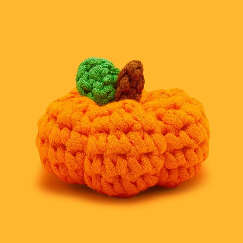 Tiny Pumpkin Kit