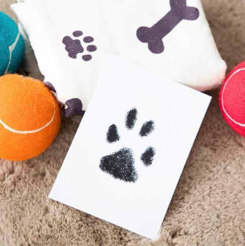 Pet Paw Print Kit with Frame, No-Mess Clean-Touch Ink Pad with Imprint Cards, DIY Inkless Paw and Nose Print Impression Set, Pet Owner Keepsake,Chrismas gift