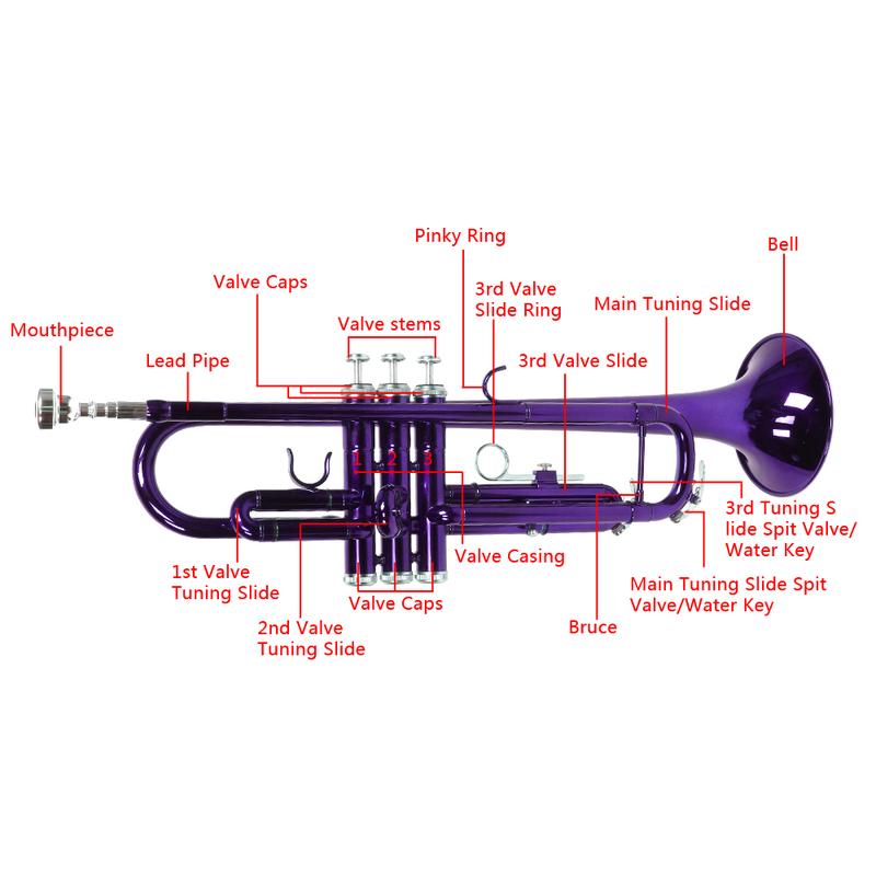 VINCIGO B Flat Trumpet, Brass B Flat Trumpet Violet with Case Golden for Scholars at All Satages