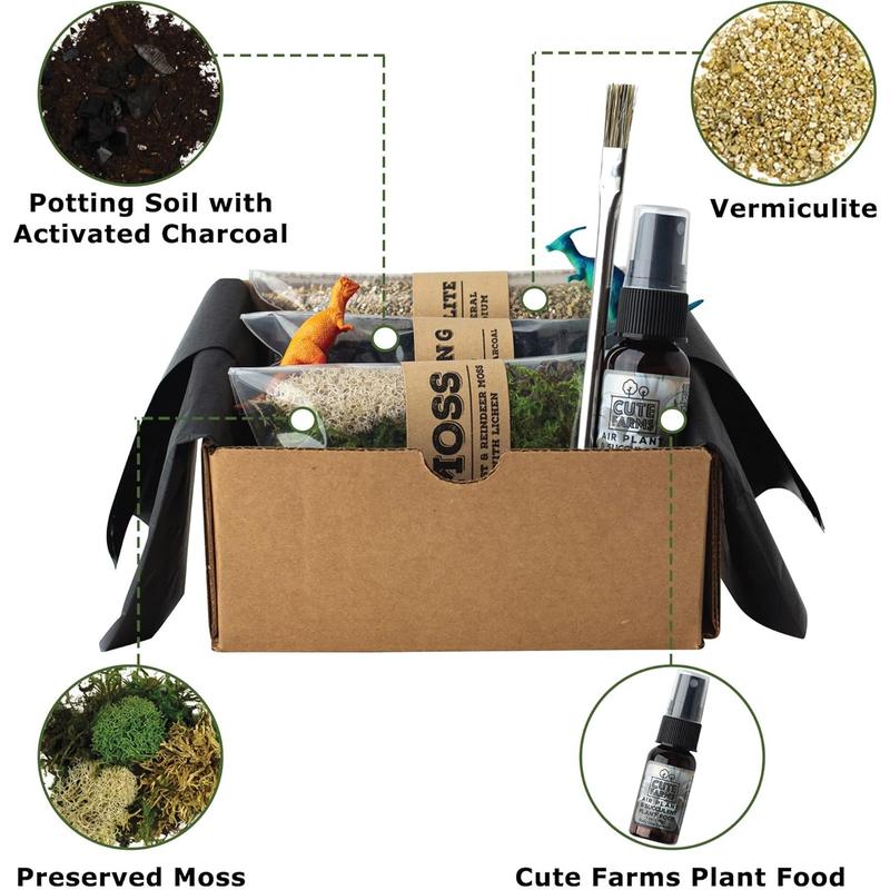 Terrarium Starter Kit | Moss, Vermiculite, Soil, Plant Food, Brush, Build and Care Guide | DIY Succulent Terrarium Kit for Adults and Kids