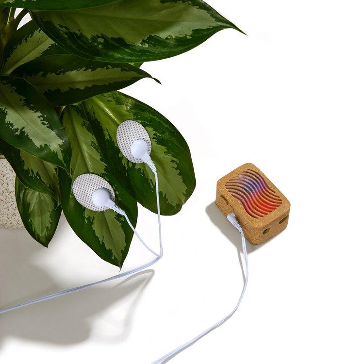 PlantWave | Plant Music Device