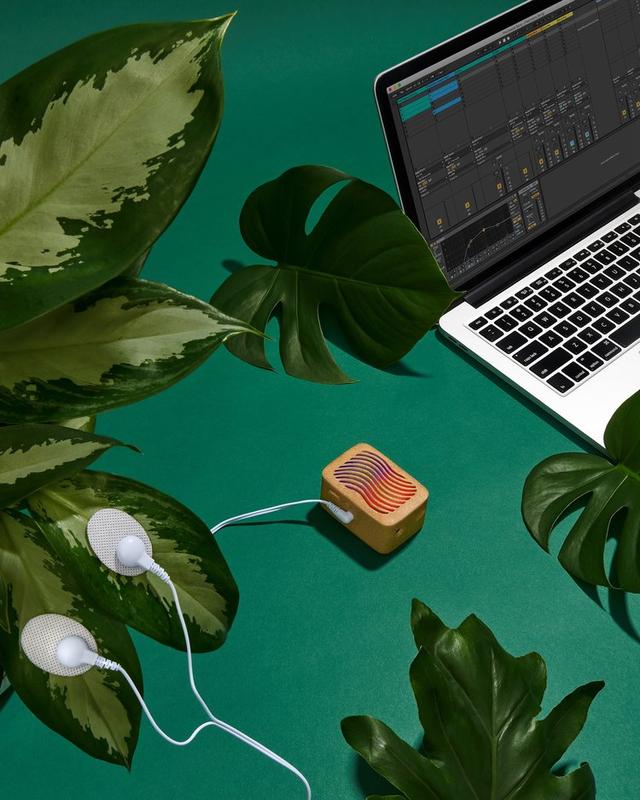 PlantWave | Plant Music Device