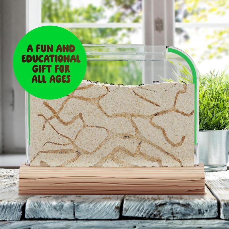 Ant Farm Kit for Kids - Ants Farms Colony - Includes Ant Voucher - Sand Habitat Kits - Bug Terrarium House - Educational Science Gifts for Kids - Nature Learning Toys for Boys, Girls & Adults