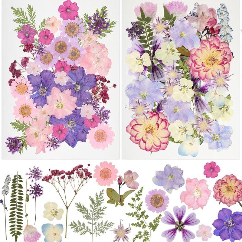 Dried Pressed Flowers, 50pcs set Natural Dry Leaves & Petals, Colorful Flower Kit for Scrapbooking, DIY Candle Jewelry Crafts Making