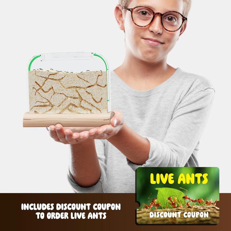 Ant Farm Kit for Kids - Ants Farms Colony - Includes Ant Voucher - Sand Habitat Kits - Bug Terrarium House - Educational Science Gifts for Kids - Nature Learning Toys for Boys, Girls & Adults