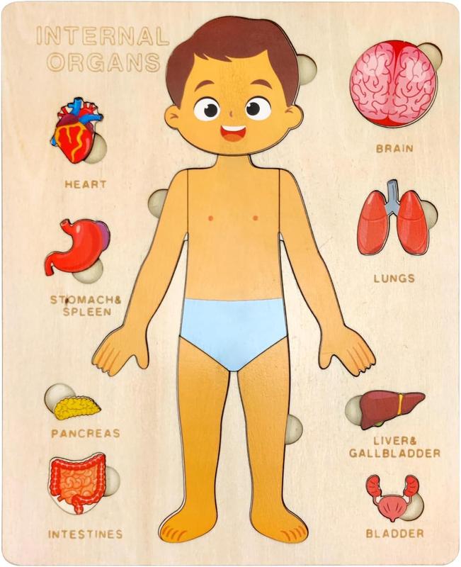 Wooden Body Puzzles for Kids, Toddler Montessori 14 count Boy Anatomy Puzzle, Human Body Learning Toy with Internal Organs Early STEM Educational Toy for Boys and Girls Ages 3 4 5 6 Years Old