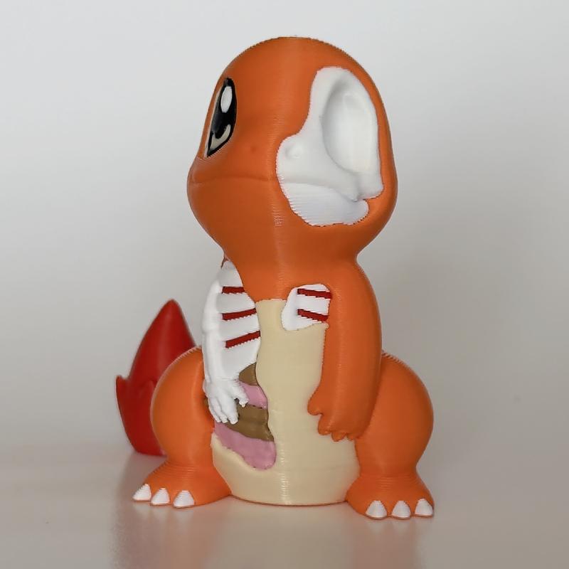 PokeCharmers - Pokémon Figurine Collection - Display Figures for Decor & Gifting