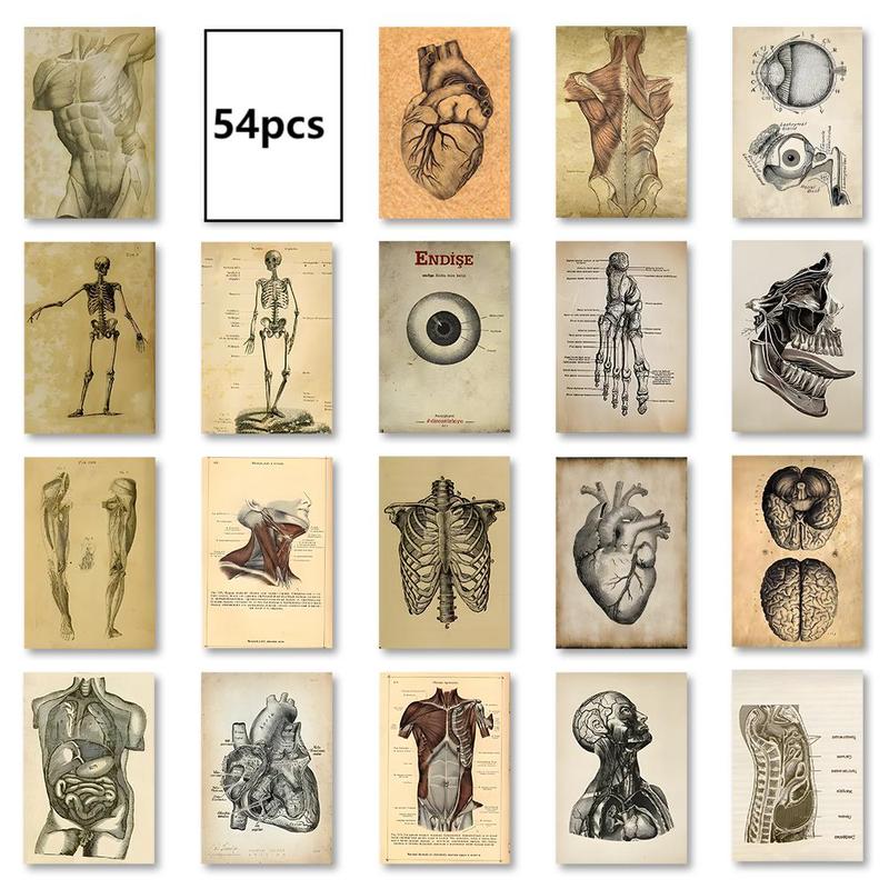 Human Organ Pattern Sticker, 54pcs set Self Adhesive Decorative Stickers, DIY Decals for Water Bottle, Laptop, Phone Case, Scrapbooking, Journal Making